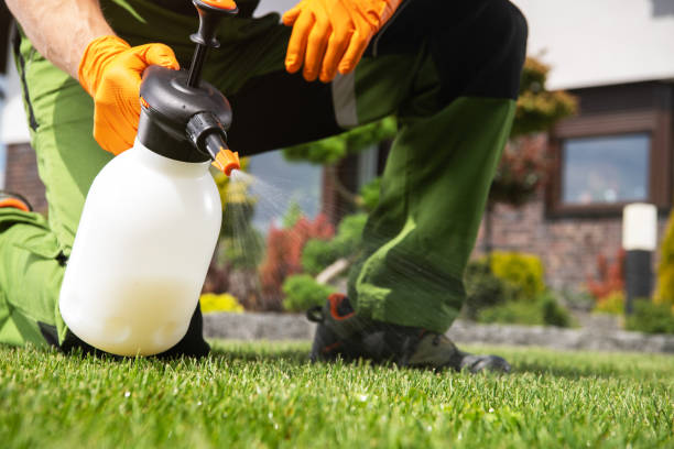 Professional Pest Control in Rancho Santa Margarita, CA